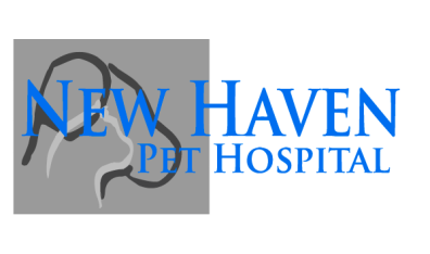 New Haven Pet Hospital-HeaderLogo